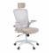 Кресло руководителя Chairman CH633 белый пластик, бежевый главное фото в маленьком размере